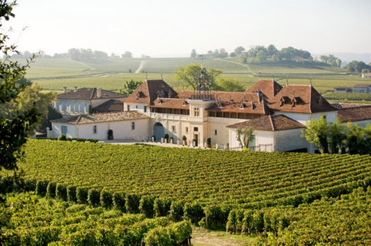 1990 Angelus Bordeaux: Pinnacle Elegance from Hottest Vintage
