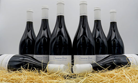 2015 Bizot Vosne Romanee: Explosive Energy & Rare Elegance!