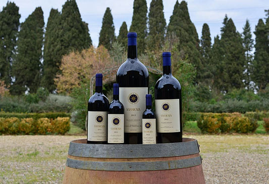 Sassicaia: A Super Tuscan Icon in the Making