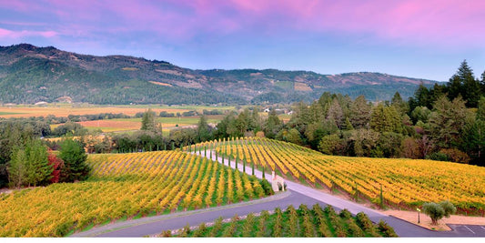 Discover the Unparalleled Excellence of the Napa Valley 2013 Vintage