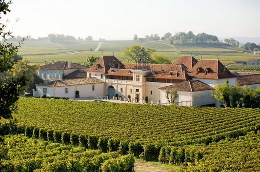 Uncover the 2019 Angelus: Up and Coming Bordeaux Vintage